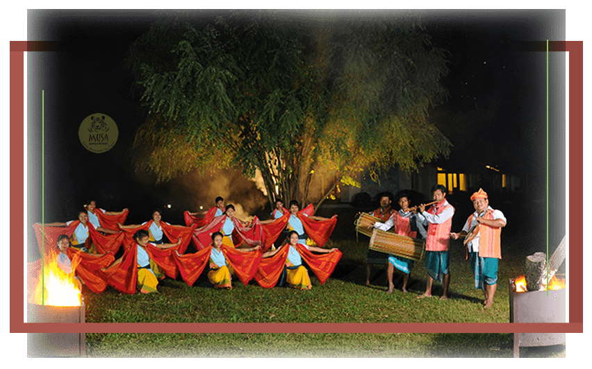 Traditional Cultural Show