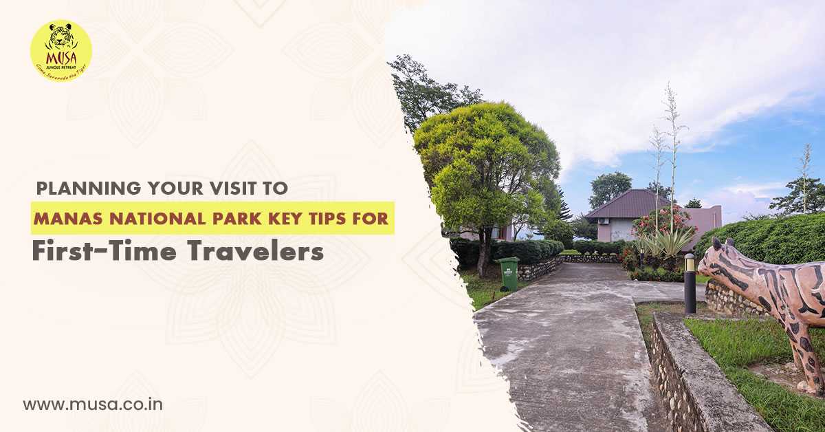 Planning Your Visit to Manas National Park: Key Tips for First-time Travellers