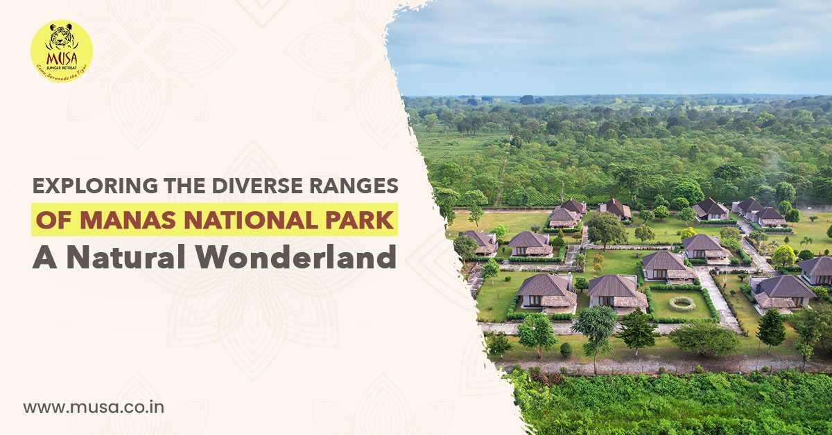 Exploring the Diverse Ranges of Manas National Park: A Natural Wonderland