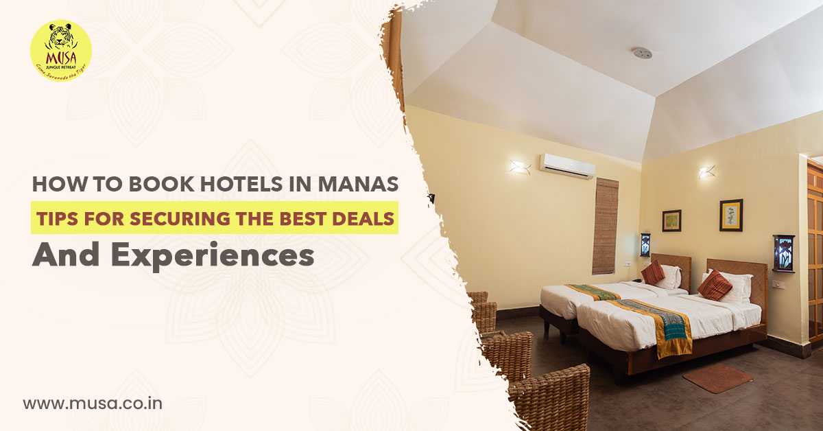 How to Book Hotels in Manas: Tips for Securing the Best Deals and Experiences