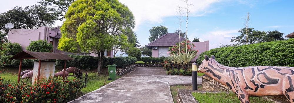 Manas National Park Restaurant